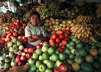 Eight-year-old Cynthia Sempertegui helps at her mother's fruit stand in Santa Cruz.